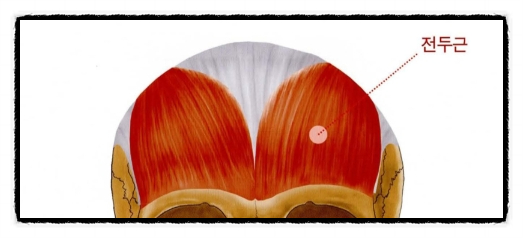 A Complete Overview of the Basic Concepts You Should Know Before an O목교역 Botox Procedure image 6