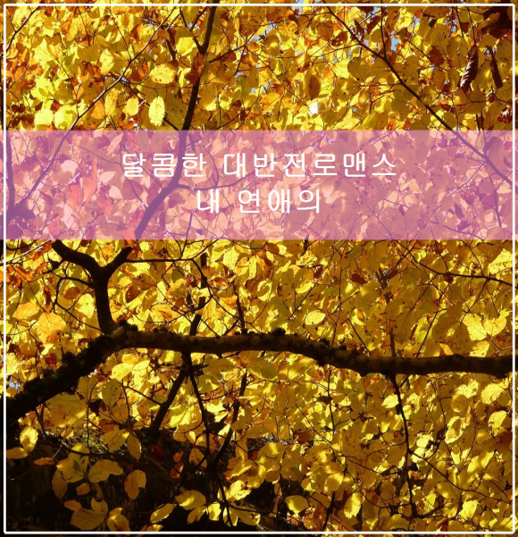 달콤한 대반전 로맨스 내 연애의 기억과 평점 관련 이미지 1