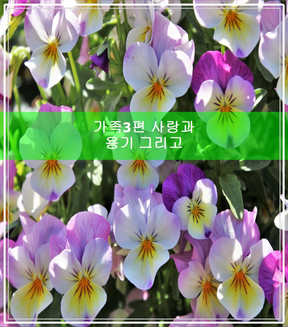 가족 3편 사랑과 용기 그리고 감동의 이야기 관련 이미지 1