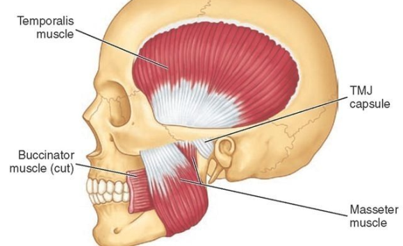 Why It’s Important to Check OO Before Getting Square Jaw Botox in Mokdong <Must Read> image 4