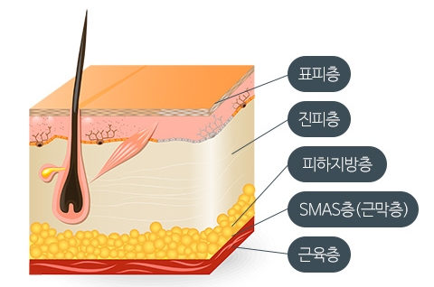 리쥬란 무턱대고 받지 마세요 관련 이미지 6