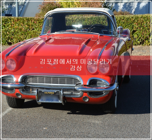 김포점에서의 미궁 달리기 감상 관련 이미지 1