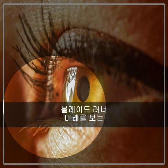 블레이드 러너 미래를 보는 창 관련 이미지 1