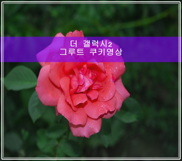 더 갤럭시 2 그로트 쿠키영상 풀버전 모음 관련 이미지 1