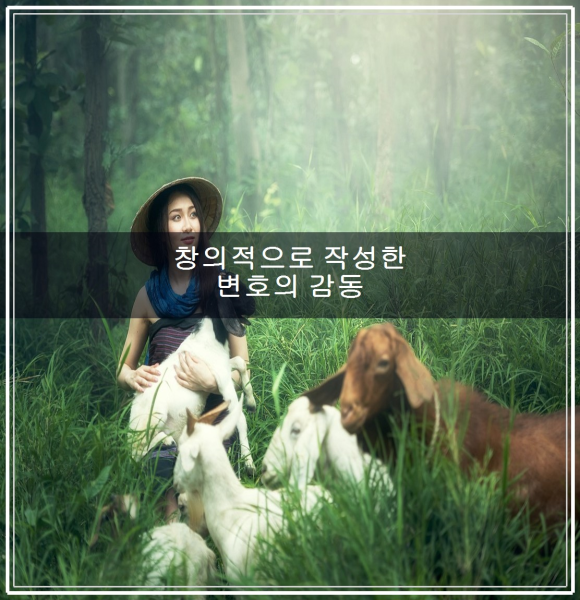 창의적으로 작성한 변호의 감동 법정의 관련 이미지 1