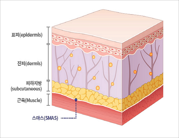 Omokgyo Dermatology (Department: Dermatology) Which Lifting Treatment Is Best? image 2