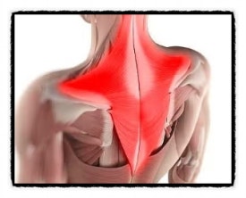 A Complete Overview of the Basic Concepts You Should Know Before an O목교역 Botox Procedure image 8