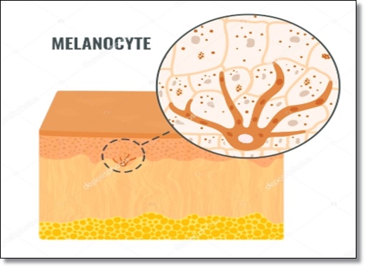 What You Must Know Before Getting Myeongdong Picotoning Treatment image 2