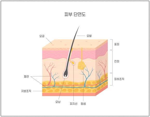 Mokdong Juvelook VS Juvelook Volume image 6