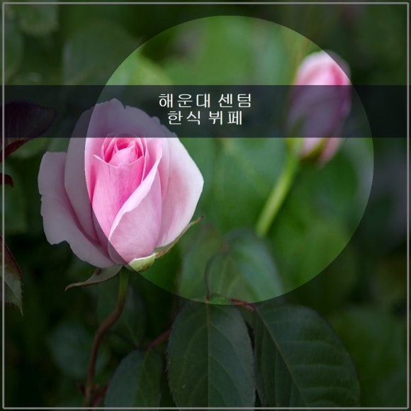 해운대 센텀 한식 뷔페 파라다이스 관련 이미지 1