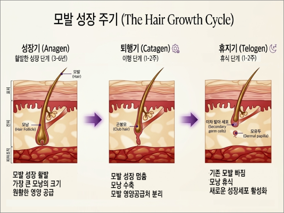 Yangcheon-gu Laser Hair Removal, the Fine Detail That Makes the Difference image 4