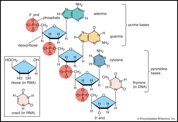 Does Omokgyo Rejuran Really Improve Your Skin? Let’s Look at the Research image 4