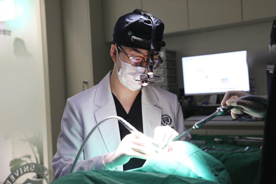 Temporary Teeth After Implants in Songpa-dong: Why They Can Be Provided Quickly image 12