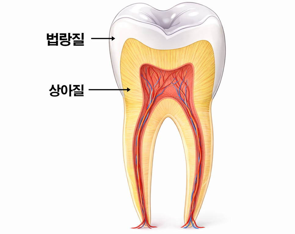 하얀 치아가 가져오는 인상의 변화 오금동 치과 교정 없이 최소삭제 라미네이트 심미치료 통해 치열 및 누렁니 개선 관련 이미지 1