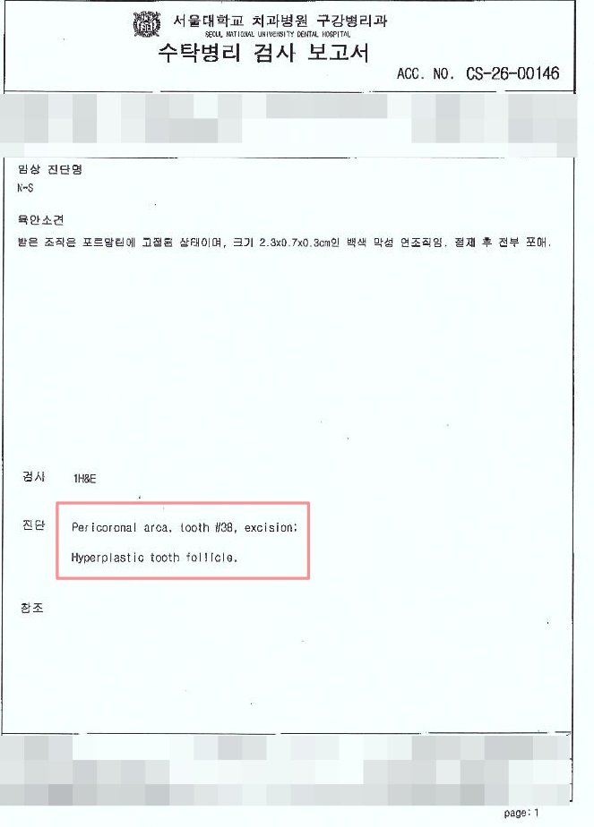 가락동 치과 교정 치료 전 사랑니 발치 꼭 필요할까? - 미성숙 매복케이스로 알아보는 과정 관련 이미지 11