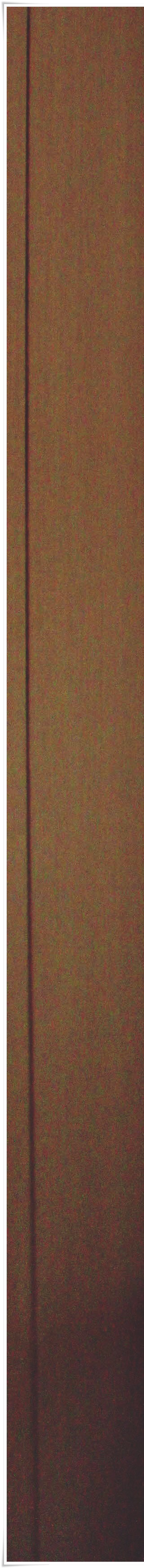 종로3가치과 음식을 잘 씹기 위해서는? 관련 이미지 30