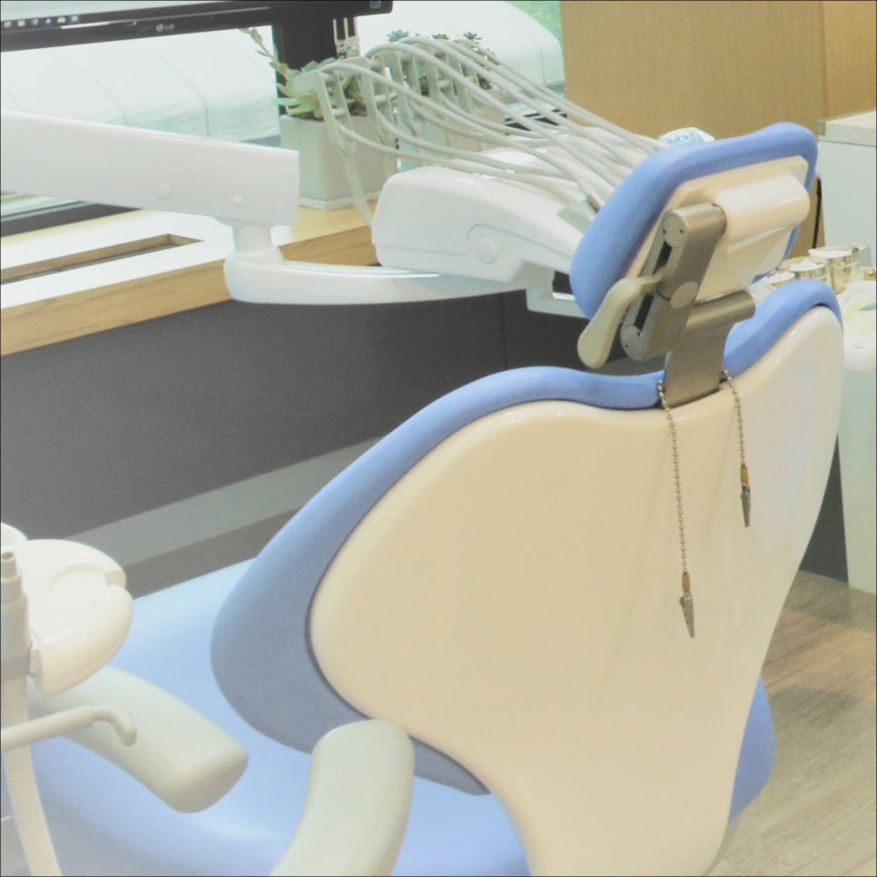 광화문역치과 상실한 치아 바로 해결을 해줘야 하는 이유 관련 이미지 21