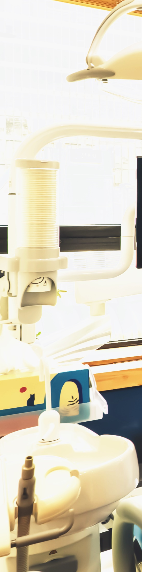 종각역치과 식립 후에 관리를 잘 해주셔야 합니다. 관련 이미지 21