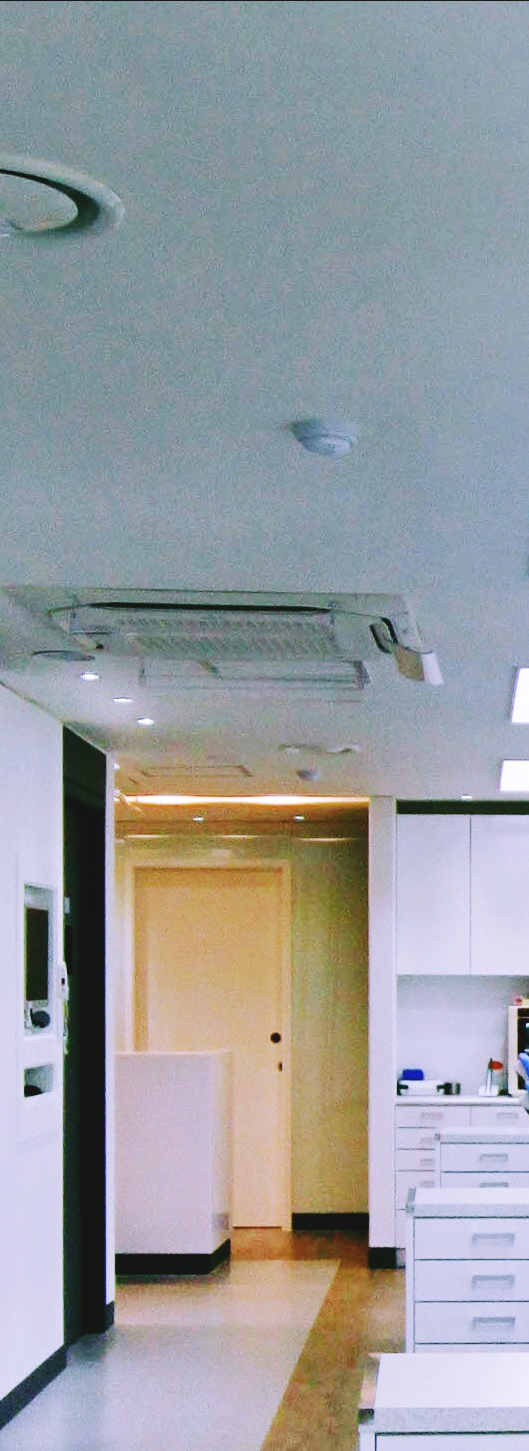 외국인치과 영어로 소통하여 정확하게 치료 관련 이미지 13