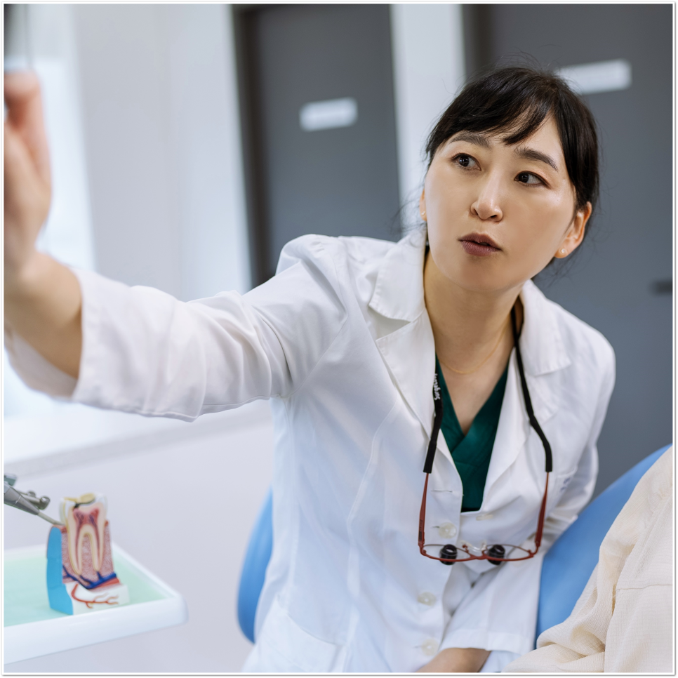 종각치과 제대로 파악하고 알맞게 계획을 세워서 관련 이미지 36