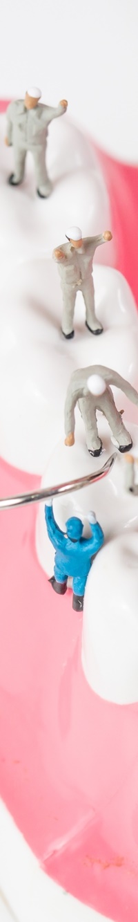 종각역치과 자연치아를 살리기 위한 대책, 신경치료 관련 이미지 20