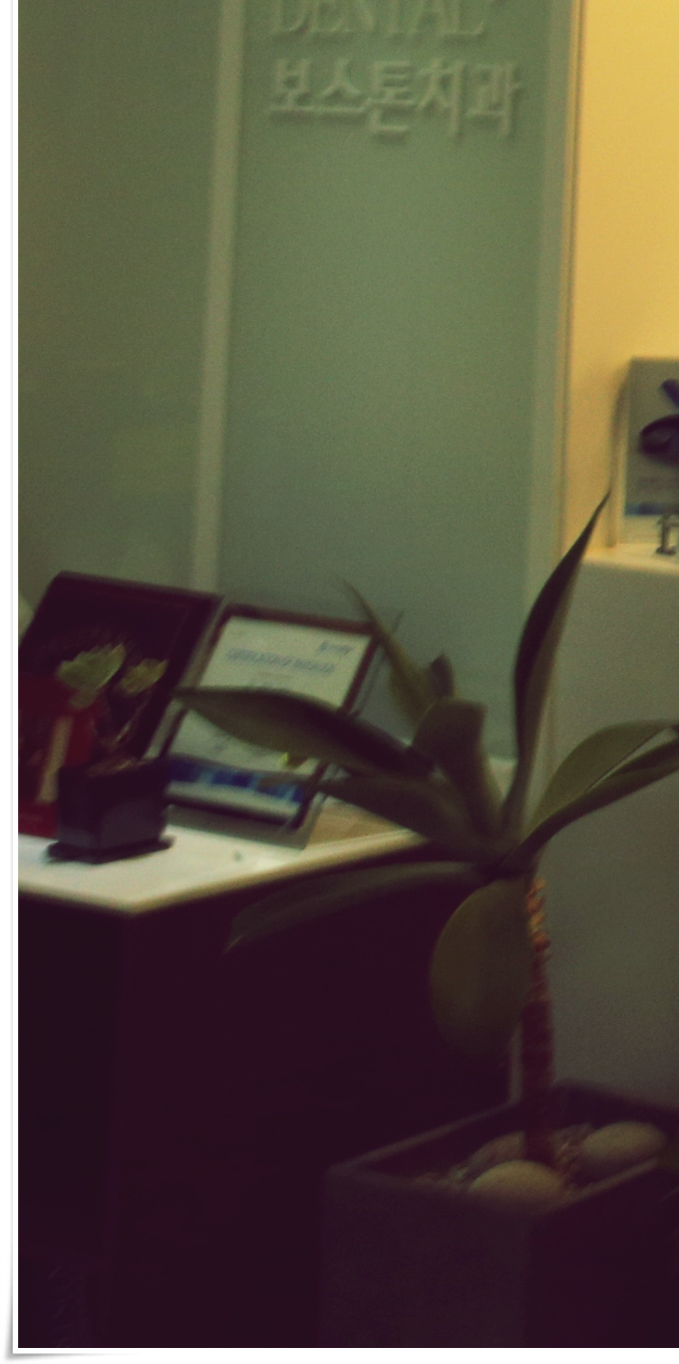 을지로입구역치과 이가 빠진 자리를 해결하려면? 관련 이미지 38