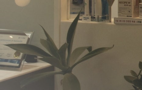 광화문역치과 50대도 늦지 않은 임플란트, 성공을 위한 주의 사항? 관련 이미지 13