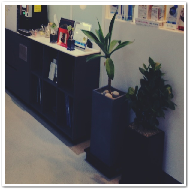 종각치과 제대로 파악하고 알맞게 계획을 세워서 관련 이미지 24