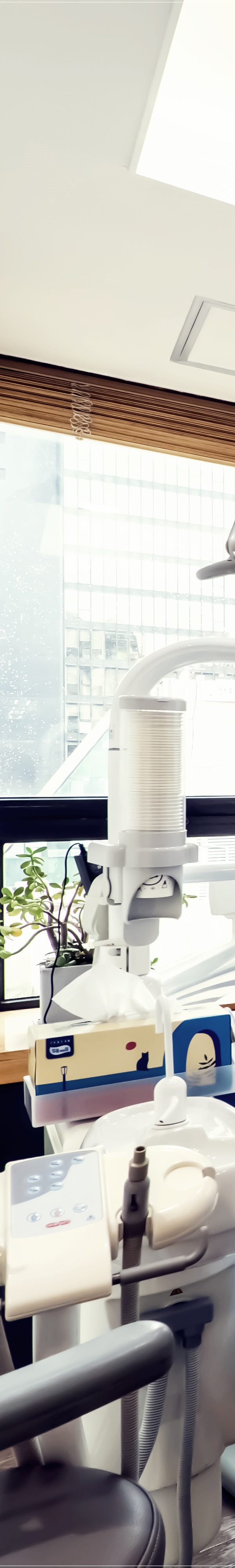 종각역치과 임플란트 해야 하는 이유는? 관련 이미지 20