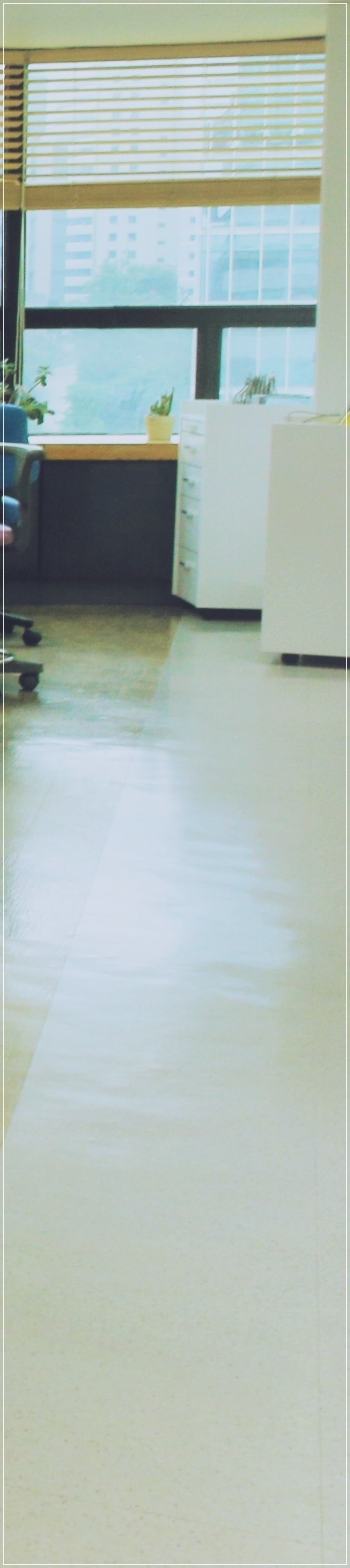 명동치과 임플란트 시술 전 어떤 것이 걱정되시나요? 관련 이미지 14