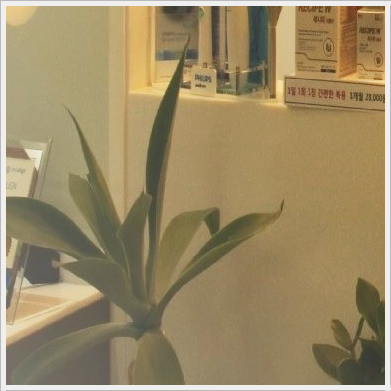 종로치과 임플란트 후 양치질은 더욱 꼼꼼하게 관련 이미지 18