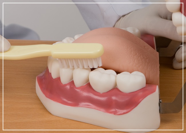 치아건강 지켜주는 올바른 칫솔질 관련 이미지 5