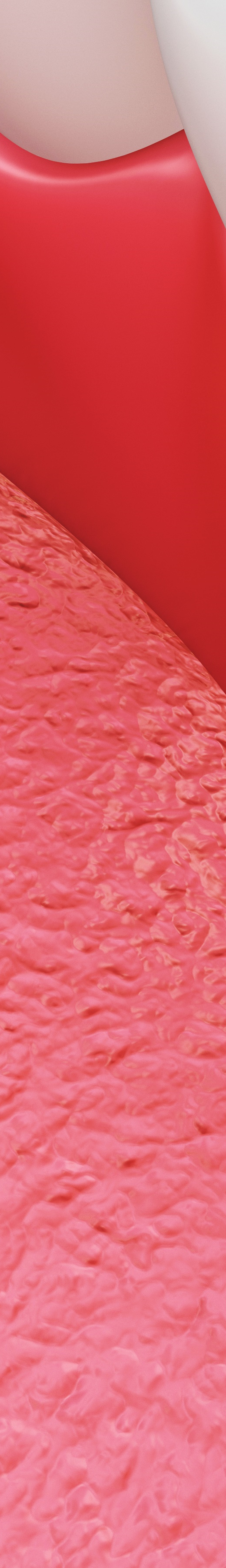 광화문역치과 치아미백과 라미네이트의 차이는? 관련 이미지 24