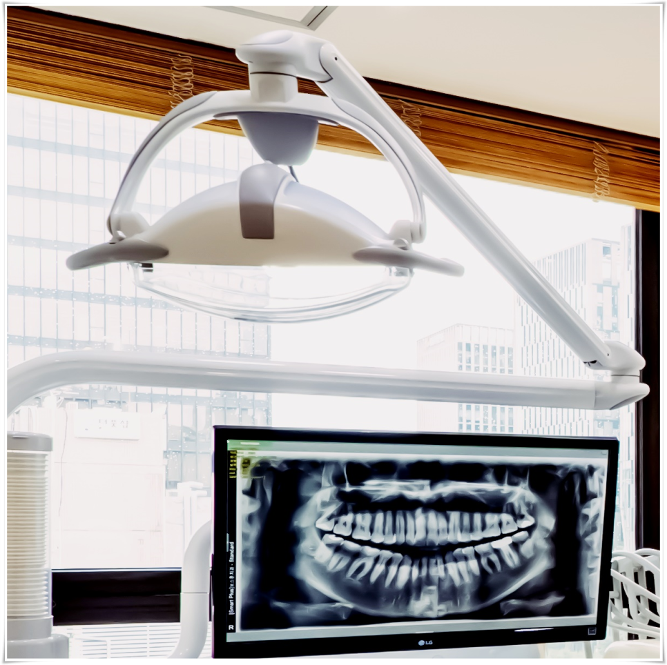 을지로입구역치과 오래 사용 가능한 임플란트 관련 이미지 35