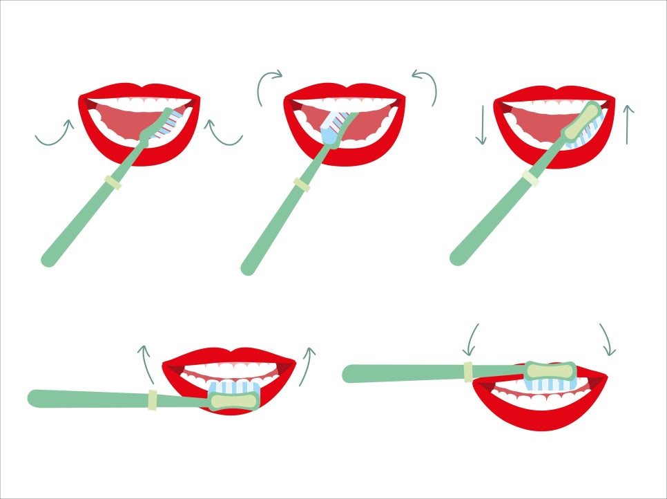올바른 양치질 방법에 대해 알려드립니다. 관련 이미지 4