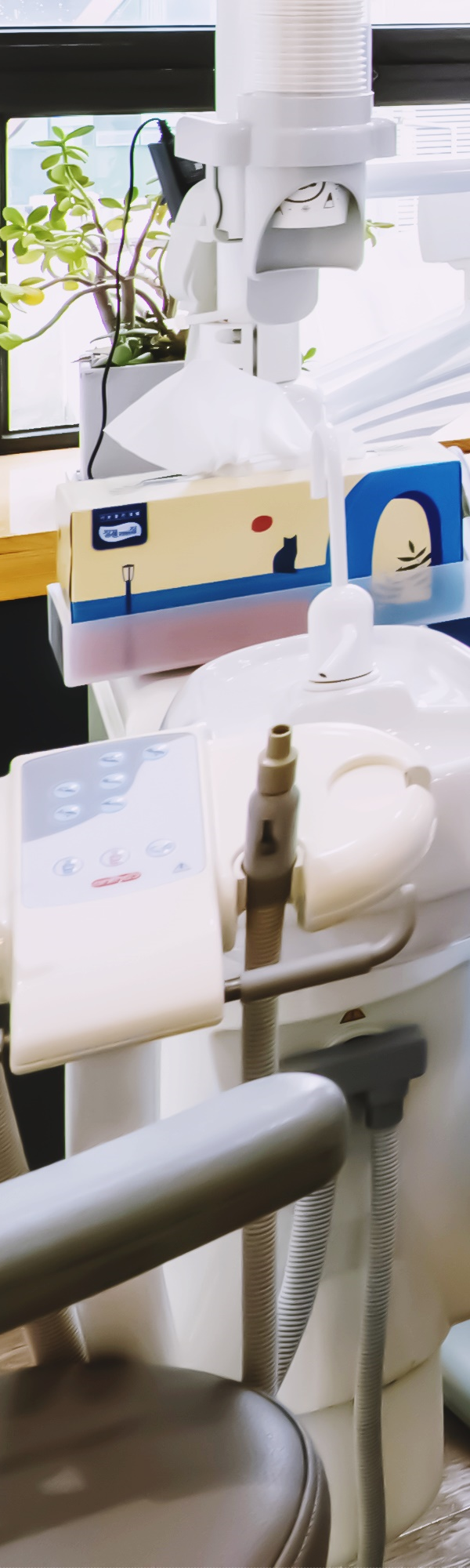 명동치과 튼튼하면서 안전하게! 관련 이미지 40