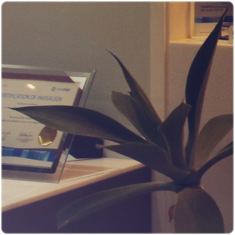 명동치과 걱정없이 편안하게 상실된 부분 해결! 관련 이미지 36