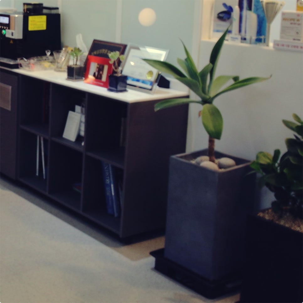 종각역치과 임플란트 정밀 확인 후 식립 합니다. 관련 이미지 13