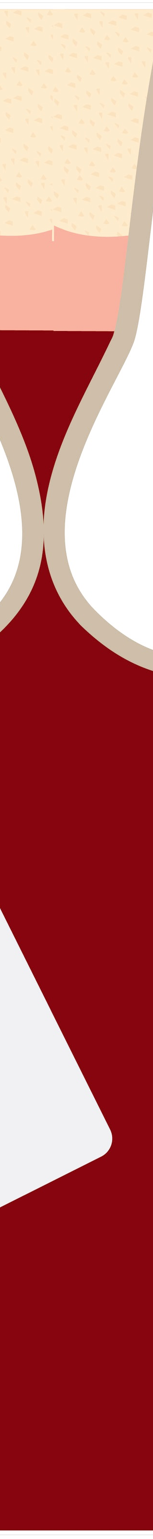 명동치과 치아가 욱씬욱씬 아프신가요? 관련 이미지 25