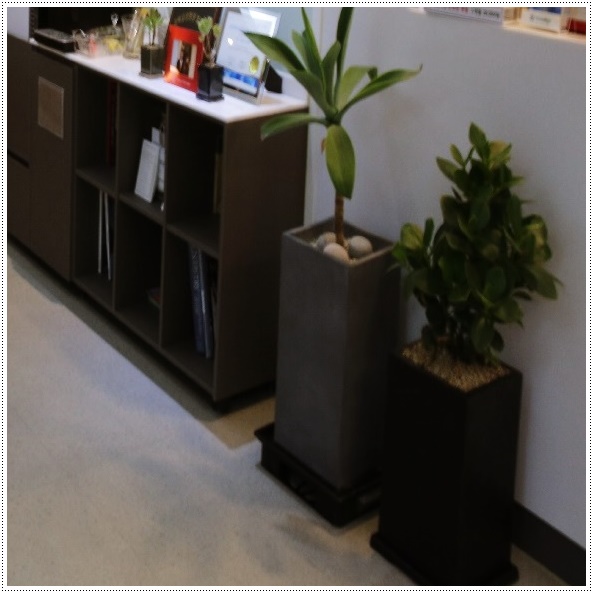 명동치과 임플란트 한 후에 먹는 음식들 관련 이미지 21