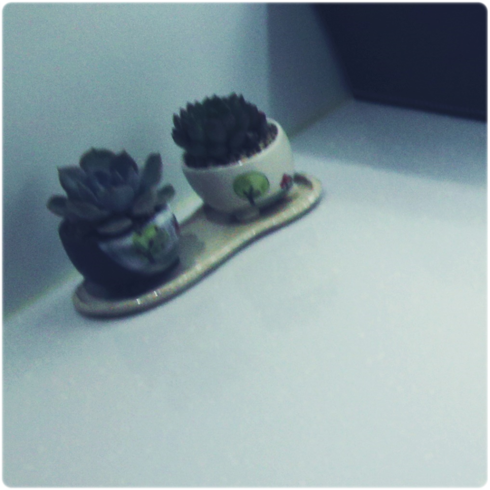 명동치과 걱정없이 편안하게 상실된 부분 해결! 관련 이미지 34