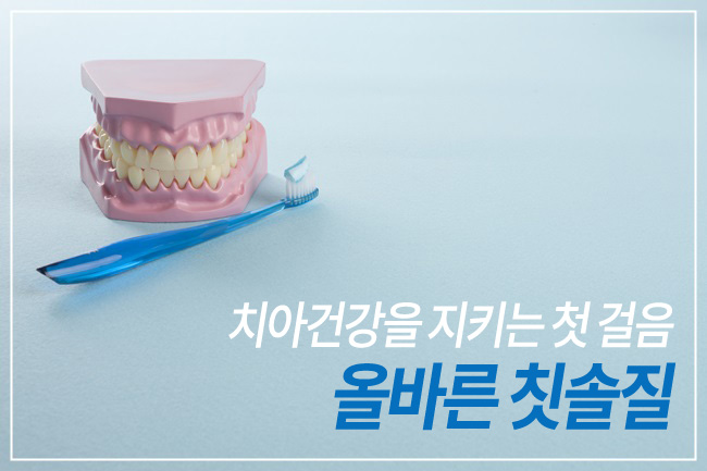 치아건강 지켜주는 올바른 칫솔질 관련 이미지 1