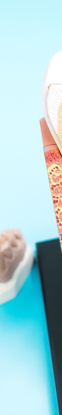 종각역치과 자연치아를 살리기 위한 대책, 신경치료 관련 이미지 28