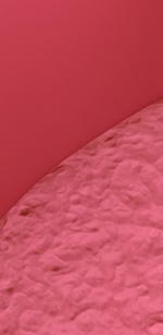 명동역치과 라미네이트 삭제된 치아는 다시 자라지 않습니다. 관련 이미지 33