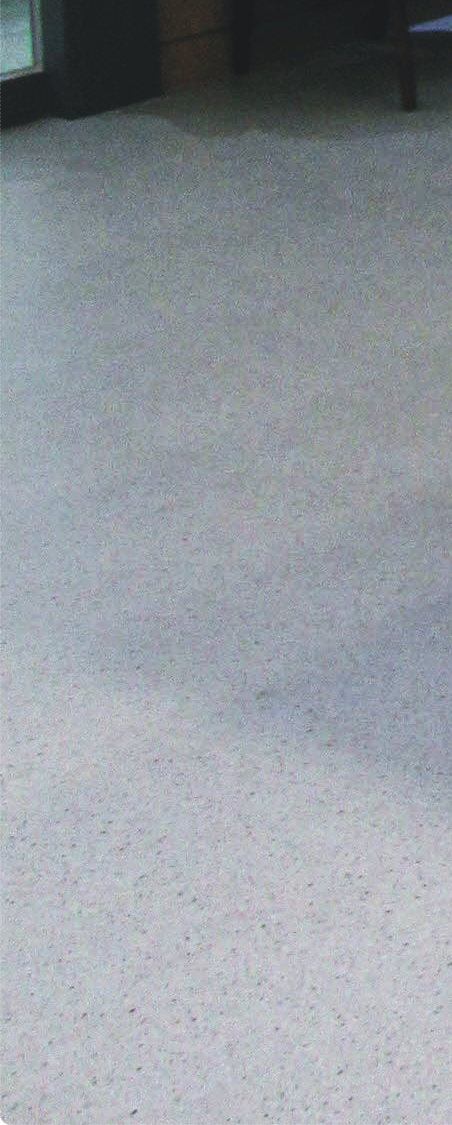 종로임플란트 이제는 걱정 말고 편안하게 관련 이미지 40