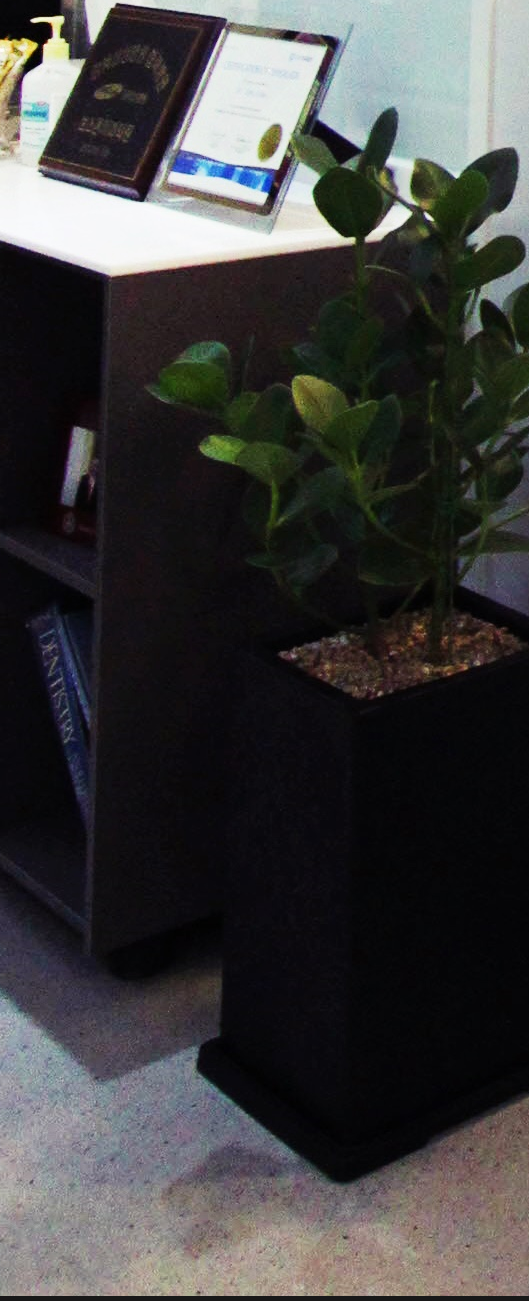 외국인치과 영어로 소통하여 정확하게 치료 관련 이미지 30