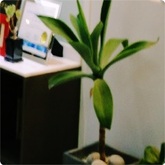 종로치과추천 편안함을 드립니다. 관련 이미지 10