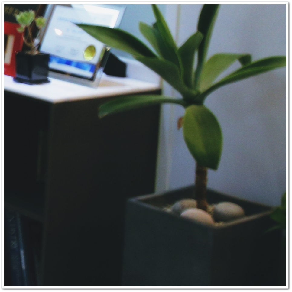 종각치과 제대로 파악하고 알맞게 계획을 세워서 관련 이미지 20