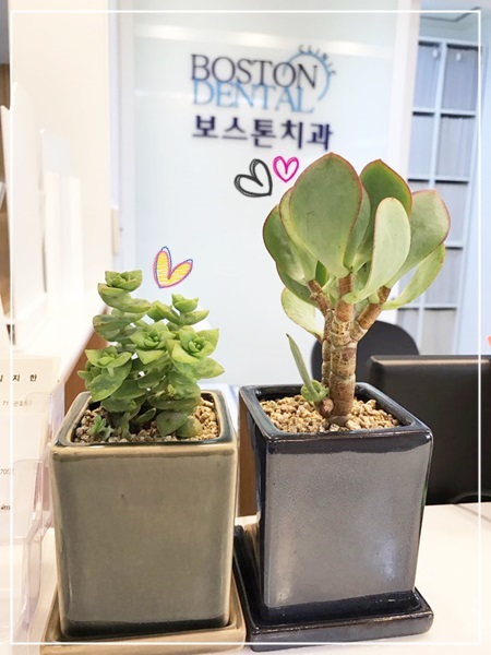 보스톤치과) 환자분이 써주신 크리스마스카드♥ 관련 이미지 1