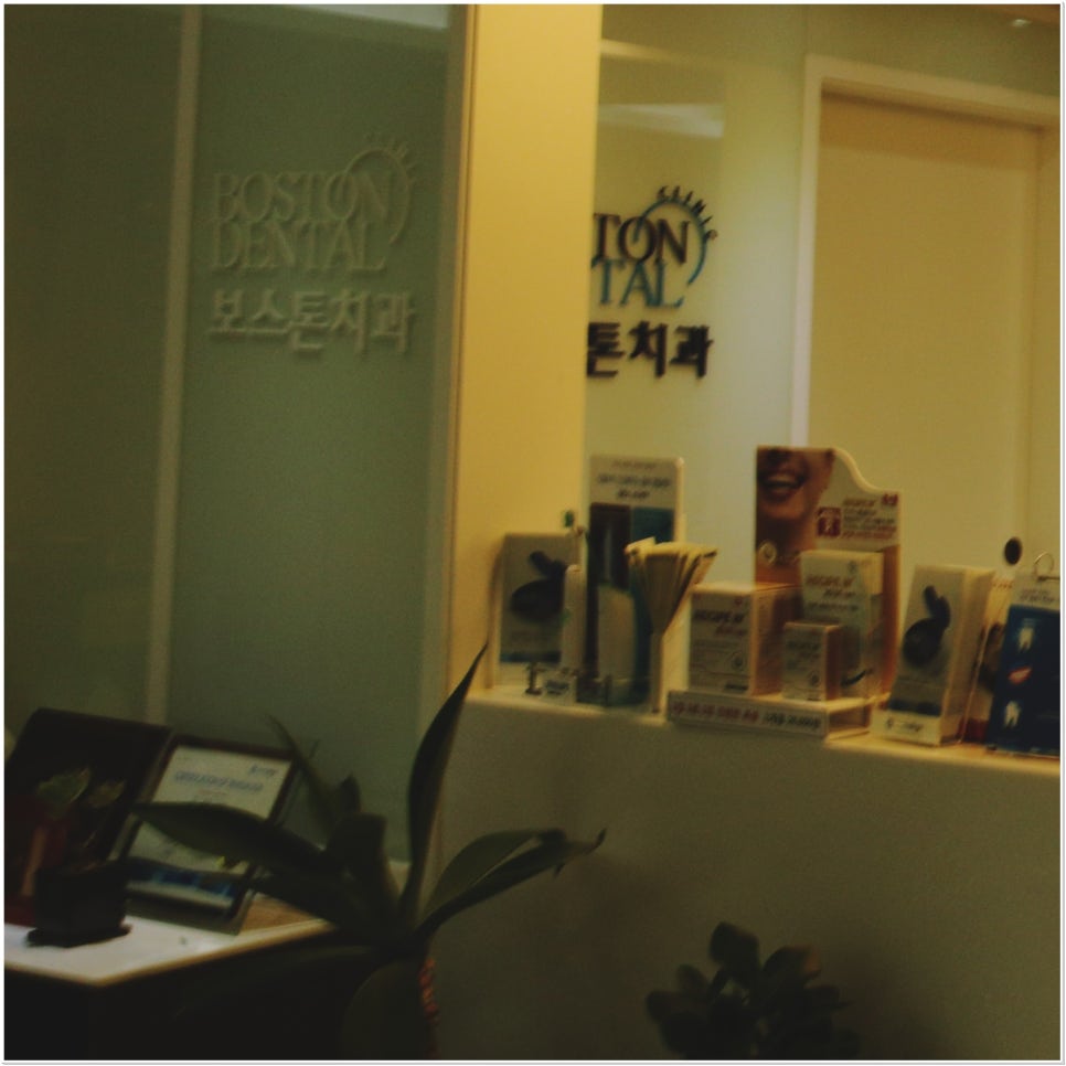 광화문역치과 상실된 치아를 치료하기 위한 방법들 관련 이미지 13